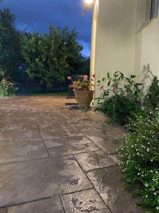 Apartment Antonia *