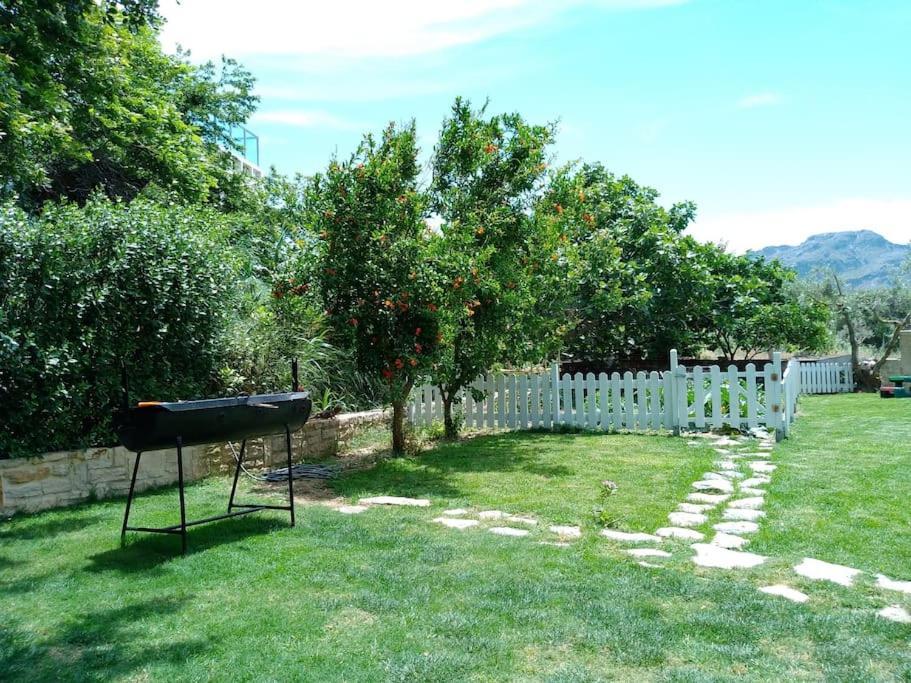 Apartment Antonia